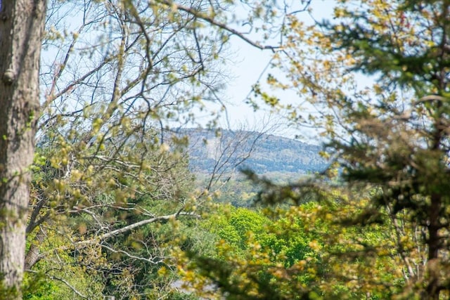 view of mountain feature