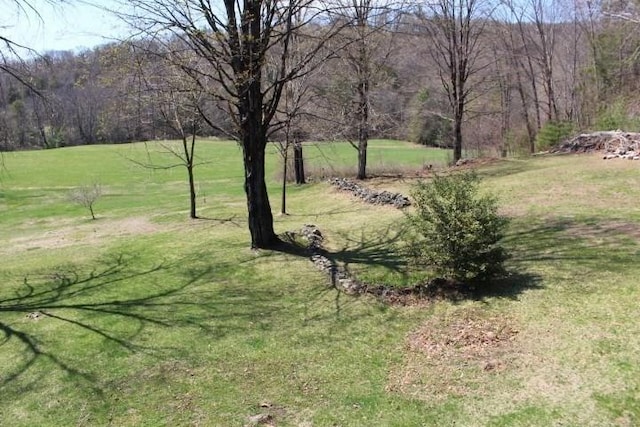 view of yard featuring a wooded view