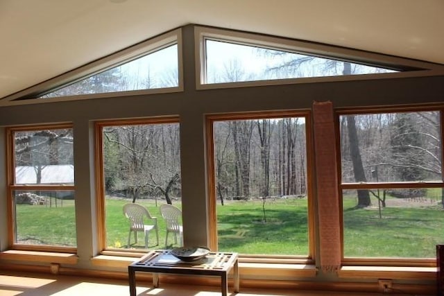 entryway with lofted ceiling