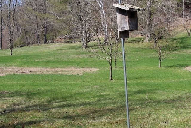 surrounding community featuring a yard