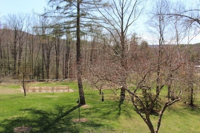 view of nature