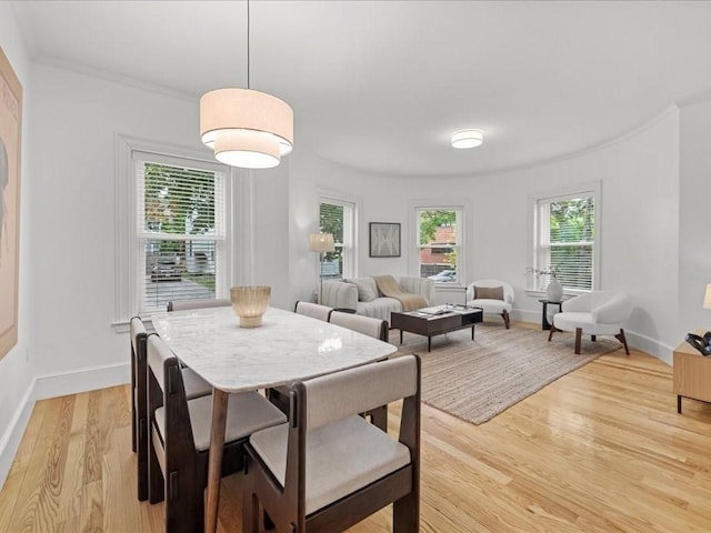 1 Auburn Ct Unit 1, Brookline, MA 02446 - dining space with light wood-type flooring, baseboards, and crown molding