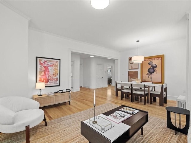 1 Auburn Ct Unit 1, Brookline, MA 02446 - living room with wood finished floors, ornamental molding, and baseboards