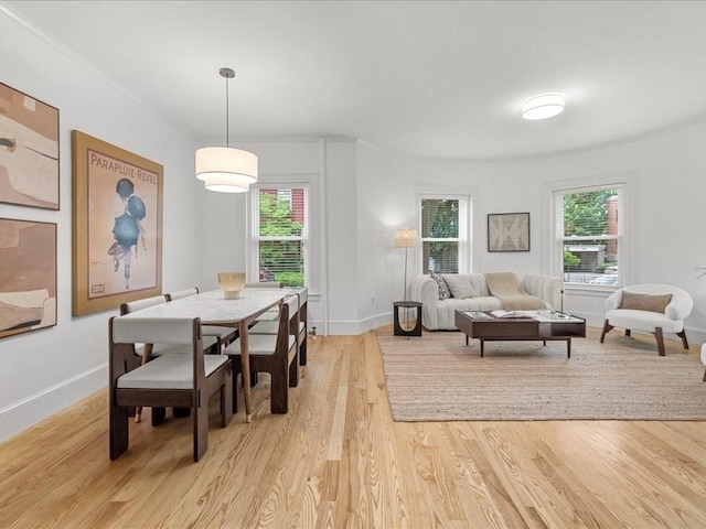 1 Auburn Ct Unit 1, Brookline, MA 02446 - dining room with light wood-style flooring, plenty of natural light, and baseboards