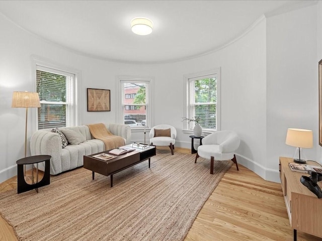 1 Auburn Ct Unit 1, Brookline, MA 02446 - living area featuring light wood-style floors and baseboards