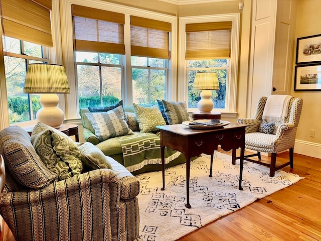 living area featuring wood-type flooring