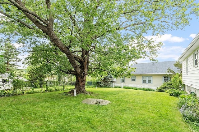 890 Westford St, Lowell, MA 01850 - view of yard