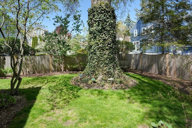 view of yard with fence