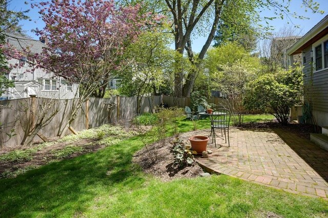 view of yard featuring a patio and a fenced backyard