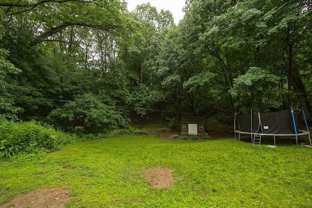 170 Walnut Rd, Wrentham, MA 02093 - view of yard with a trampoline and a shed