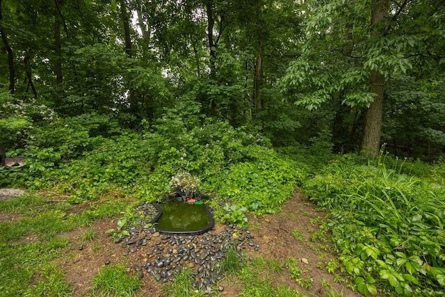 170 Walnut Rd, Wrentham, MA 02093 - view of undeveloped land