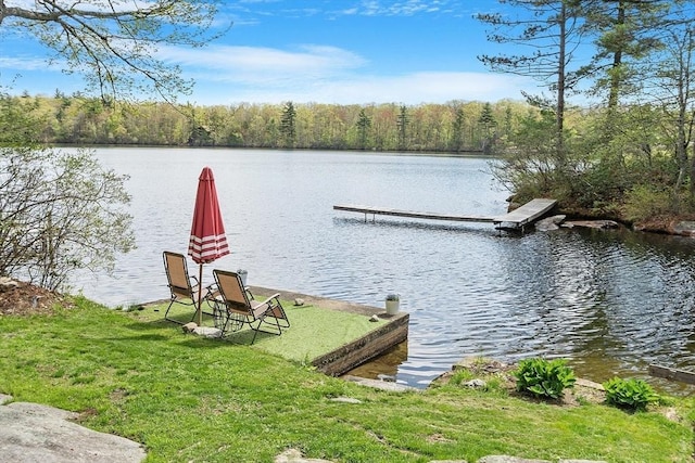dock area featuring a water view and a view of trees