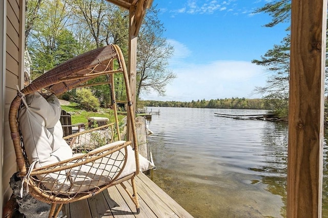 dock featuring a water view