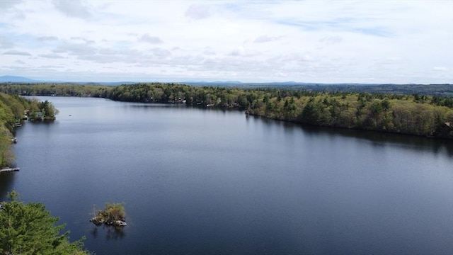 water view featuring a forest
