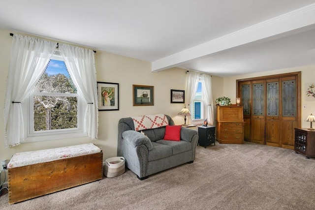 sitting room featuring beam ceiling and carpet floors