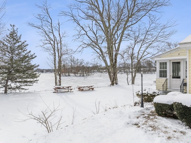 view of yard covered in snow