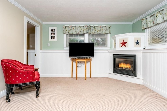 38 Gold Leaf, Mashpee, MA 02649 - living area featuring a glass covered fireplace, carpet flooring, ornamental molding, and wainscoting