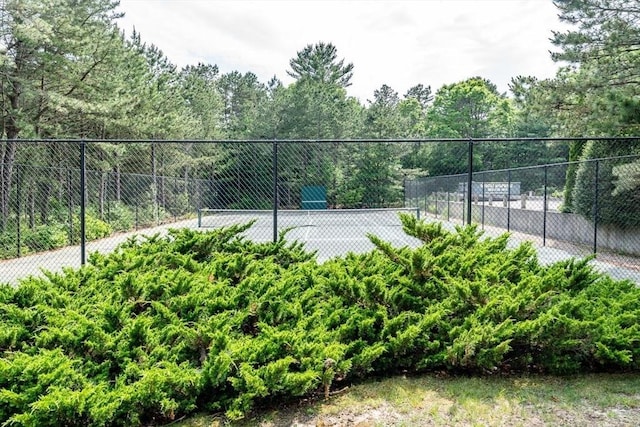 38 Gold Leaf, Mashpee, MA 02649 - view of tennis court