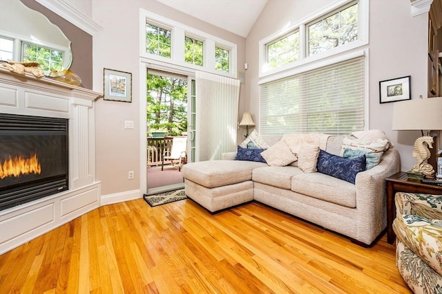 38 Gold Leaf, Mashpee, MA 02649 - living room with light wood-style flooring, a glass covered fireplace, and high vaulted ceiling