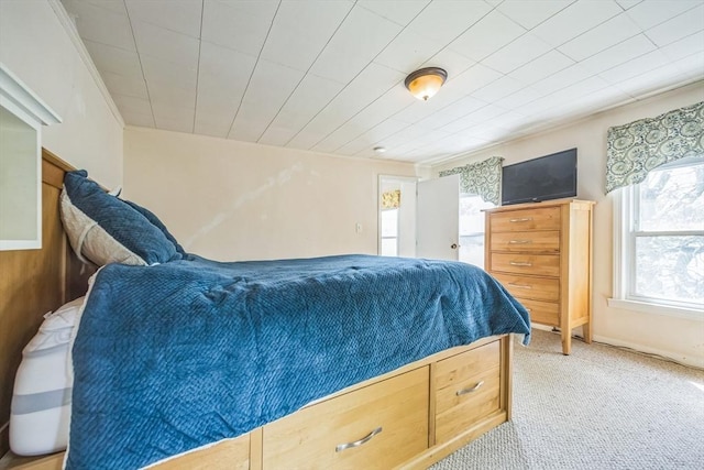 carpeted bedroom with multiple windows
