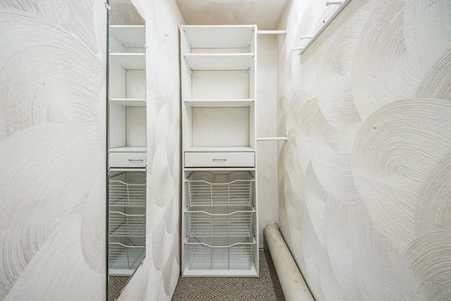 spacious closet with carpet floors