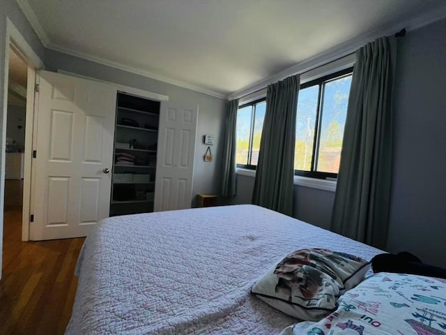 bedroom with crown molding, dark wood-style floors, and a closet