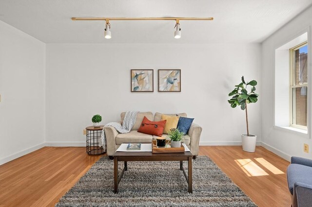 living room with baseboards, rail lighting, and wood finished floors