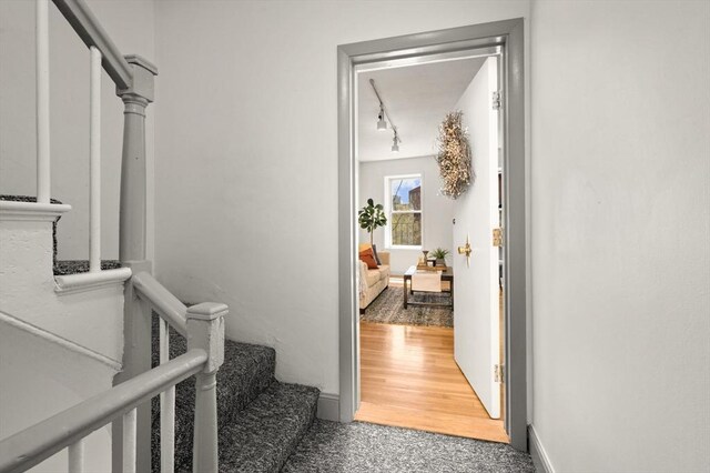 interior space featuring track lighting and carpet flooring