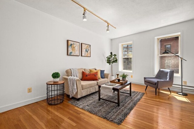 living area with baseboards, rail lighting, and wood finished floors