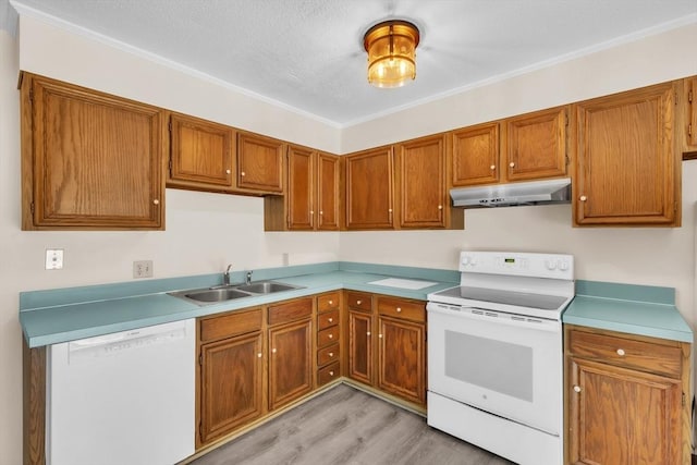 kitchen with crown molding, sink, white appliances, and light hardwood / wood-style floors