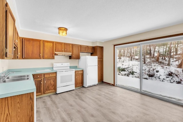 kitchen featuring sink, white appliances, a textured ceiling, and light wood-type flooring