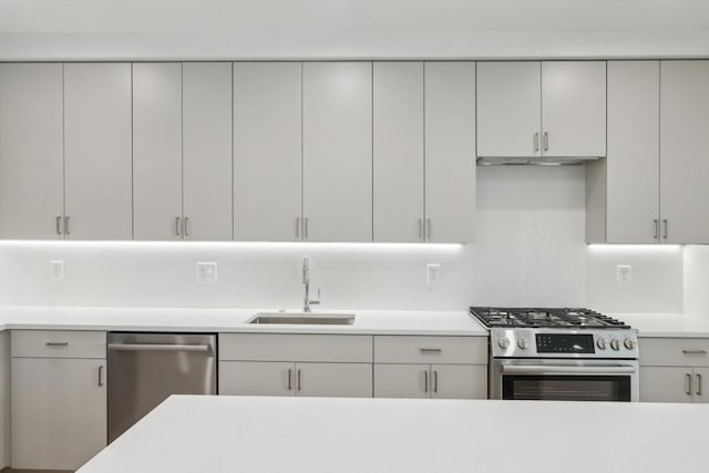 256 Dorchester St Unit 408, Boston, MA 02127 - kitchen featuring appliances with stainless steel finishes, a sink, light countertops, and gray cabinets