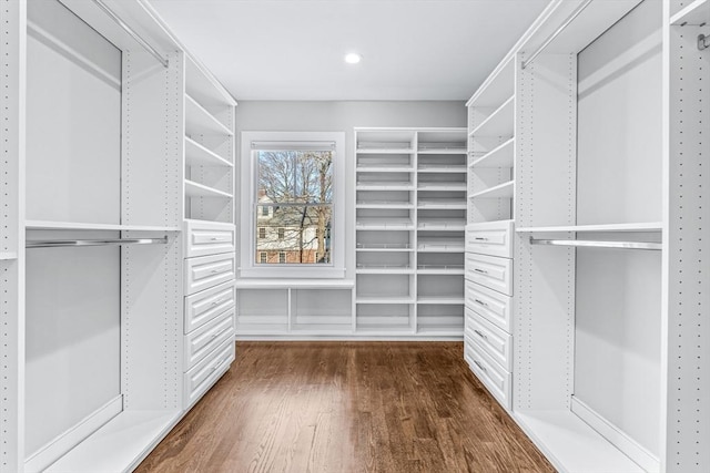 spacious closet featuring dark wood-type flooring