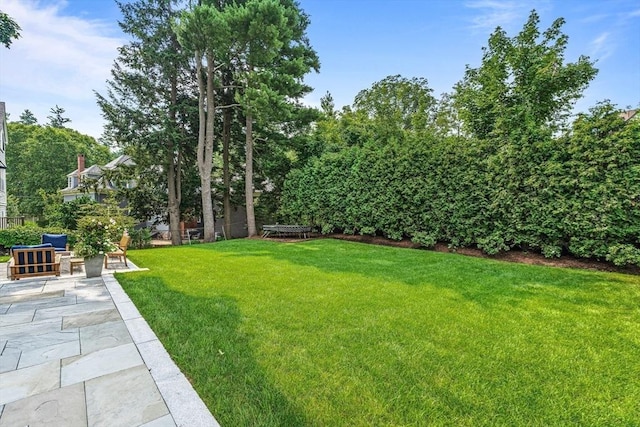 view of yard with a patio