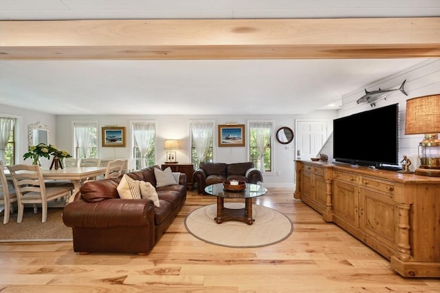 15 Youngs Rd, Gloucester, MA 01930 - living room featuring light wood-style floors, plenty of natural light, and beam ceiling