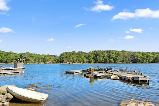 15 Youngs Rd, Gloucester, MA 01930 - dock with a water view and a wooded view