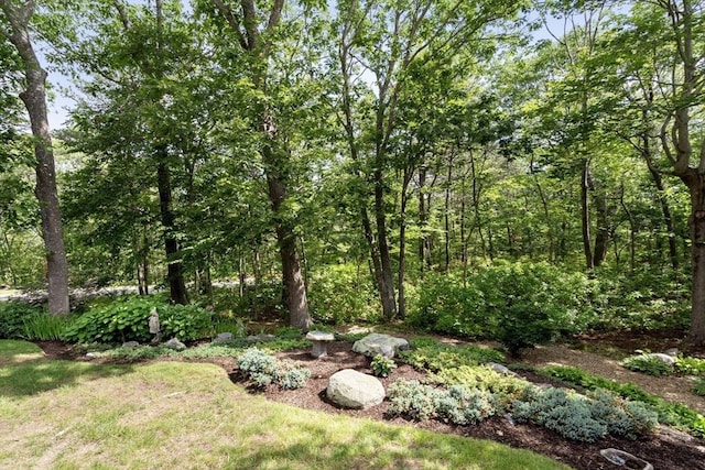 27 Quarryridge Ln Unit 27, Rockport, MA 01966 - view of yard with a wooded view