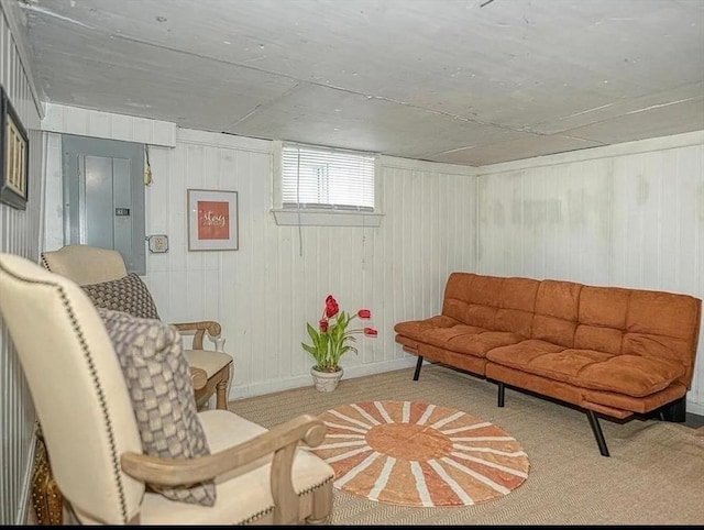 16 3rd St, Framingham, MA 01702 - carpeted living area with electric panel and wood walls