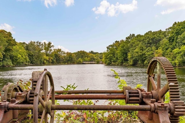 water view with a wooded view