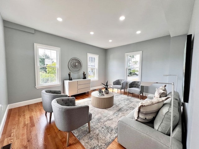 living room with light wood-type flooring and a healthy amount of sunlight