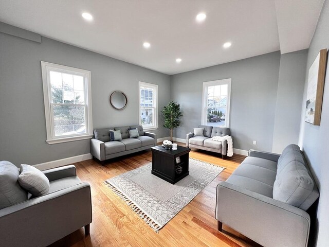 living room featuring light hardwood / wood-style flooring