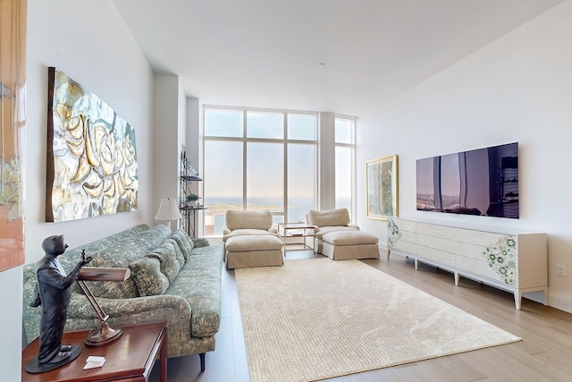 living room with hardwood / wood-style flooring and expansive windows