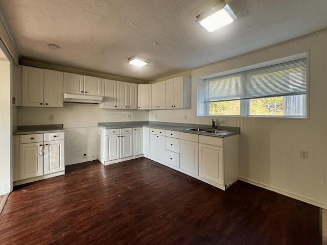 kitchen featuring white cabinets and dark hardwood / wood-style flooring