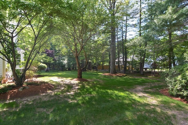 26 Kittredge St, Walpole, MA 02081 - view of grassy yard