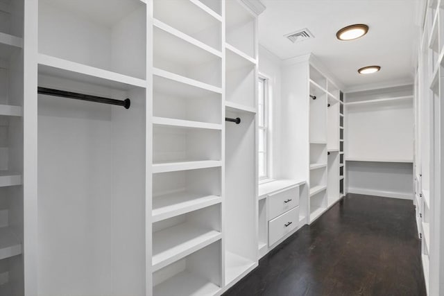 spacious closet featuring dark hardwood / wood-style flooring