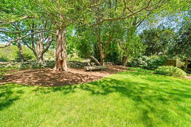 21 Fremont St, Dartmouth, MA 02748 - view of grassy yard