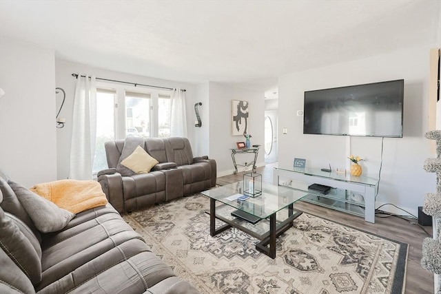 living room with wood-type flooring