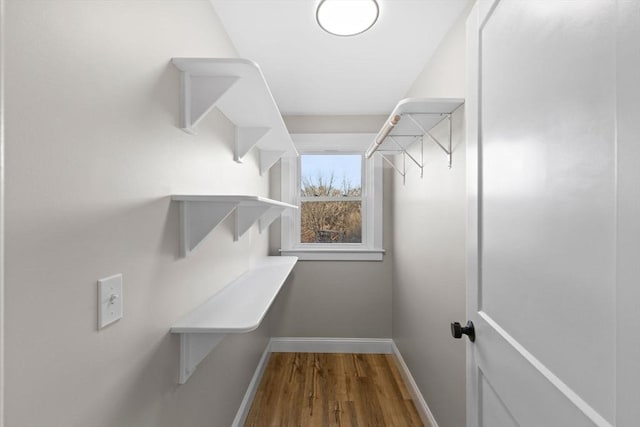 spacious closet with wood-type flooring