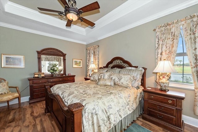 10852 Tiberio Dr, Fort Myers, FL 33913 - bedroom with a tray ceiling, dark wood-style floors, and multiple windows