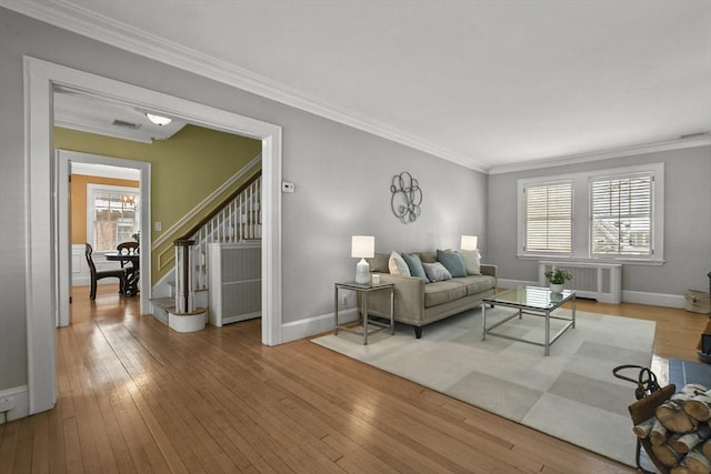 living room with crown molding, radiator, and light hardwood / wood-style flooring